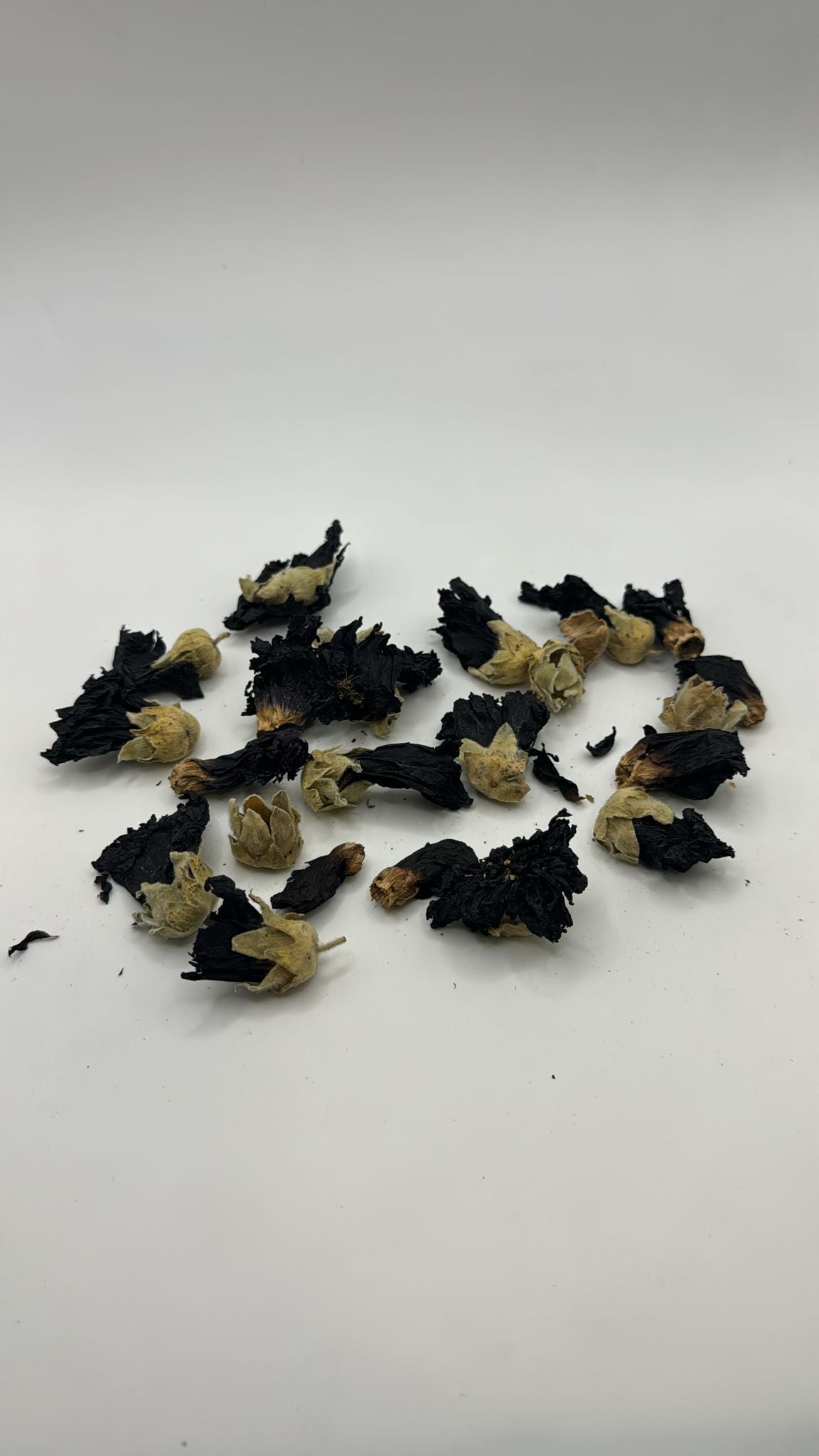 FLORES MALVA NEGRA