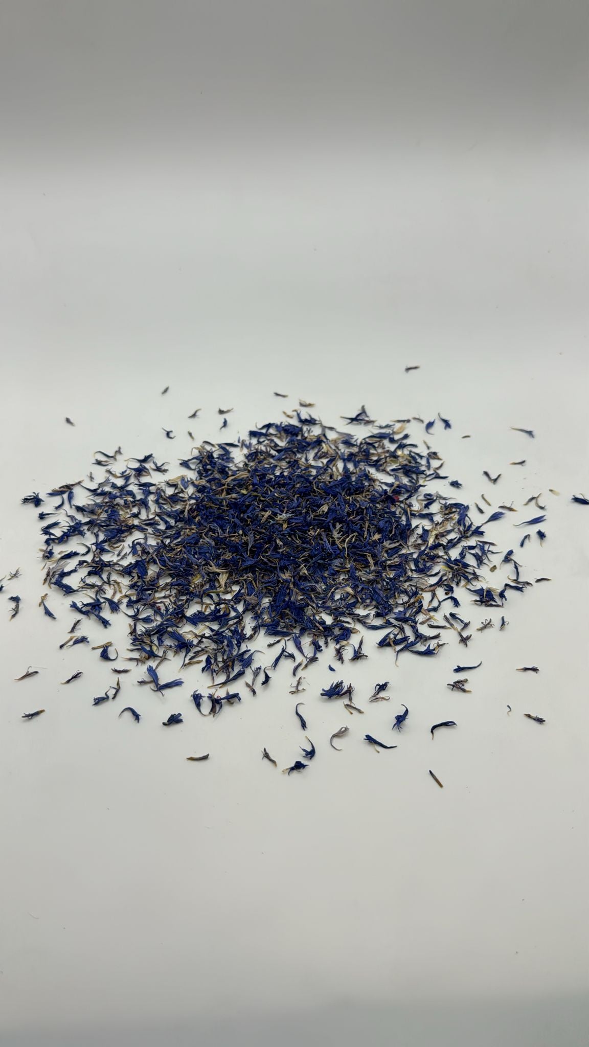 PÉTALOS DE ACIANO AZUL
