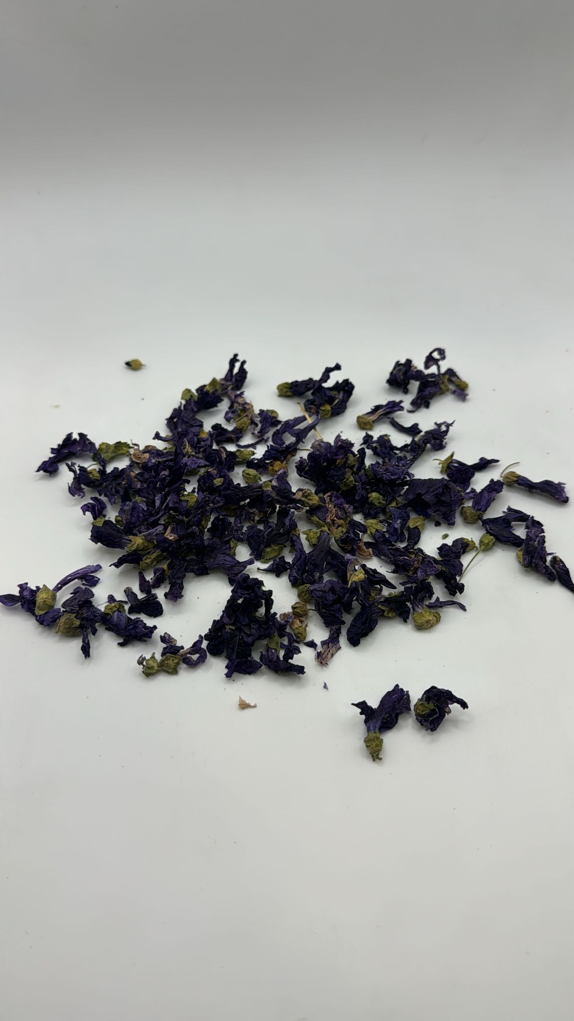 FLORES MALVA AZUL