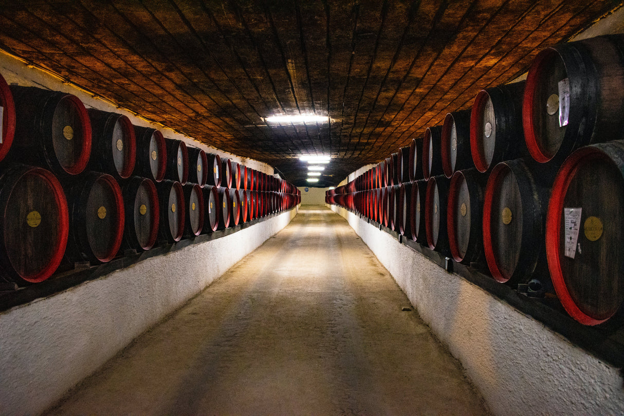 Fragancia BODEGA