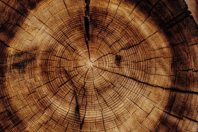 Fragancia velas  MADERA DE CEDRO